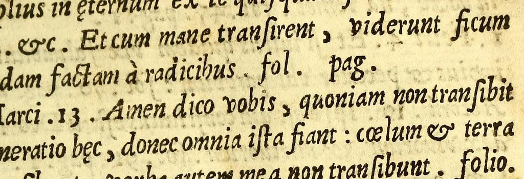An illustration from Libro dela miseria y breuedad de la vida del hombre : y de sus quatro postrimerias, en lengua mexicana., 1604, leaf 325