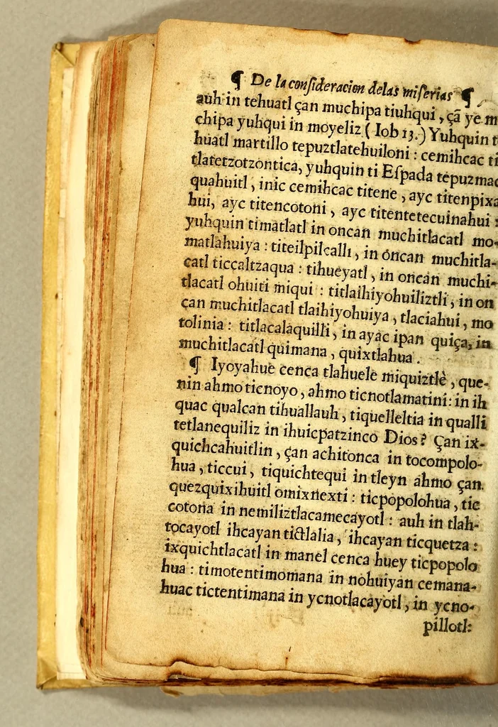 An illustration from Libro dela miseria y breuedad de la vida del hombre : y de sus quatro postrimerias, en lengua mexicana., 1604, leaf 84