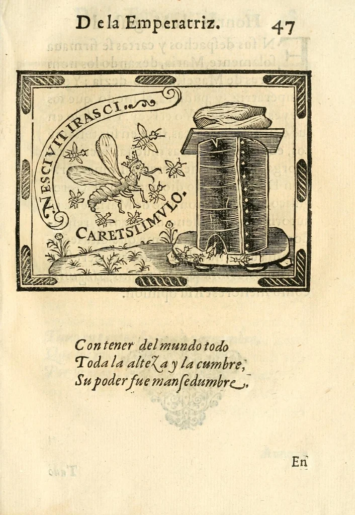 An illustration from Libro de las honras que hizo el Colegio de la Co[m]pañia de Iesus de Madrid, à la M.C. de la Emperatriz doña Maria de Austria, fundadora del dicho Colegio, que se celebraron a 21. de Abril de 1603, 1603, leaf 113