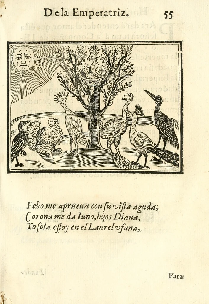 An illustration from Libro de las honras que hizo el Colegio de la Co[m]pañia de Iesus de Madrid, à la M.C. de la Emperatriz doña Maria de Austria, fundadora del dicho Colegio, que se celebraron a 21. de Abril de 1603, 1603, leaf 129