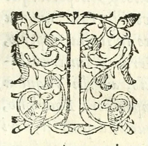An illustration from Libro de las honras que hizo el Colegio de la Co[m]pañia de Iesus de Madrid, à la M.C. de la Emperatriz doña Maria de Austria, fundadora del dicho Colegio, que se celebraron a 21. de Abril de 1603, 1603, leaf 31