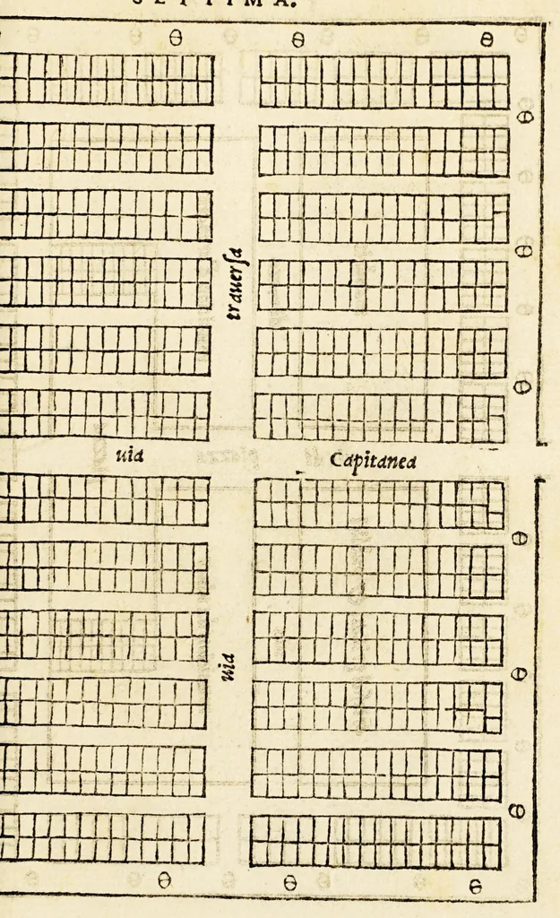 An illustration from Libro dell'arte della guerra, 1540, leaf 245