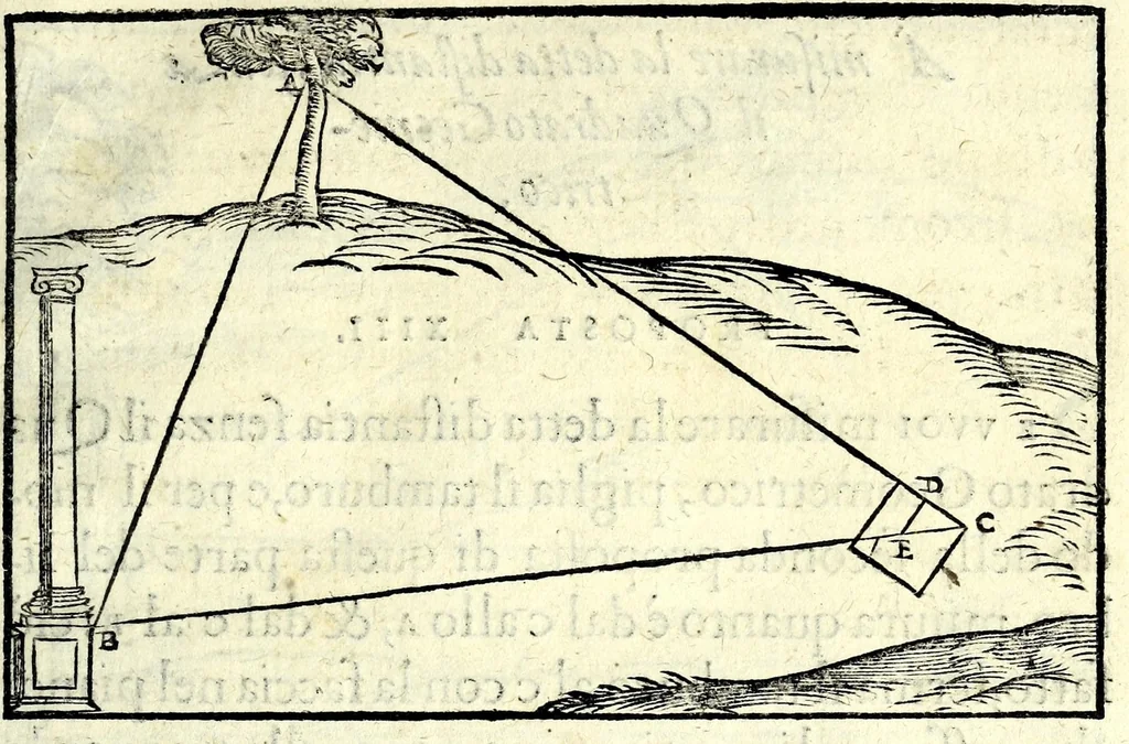 An illustration from Libro del misvrar con la vista, 1570, leaf 51