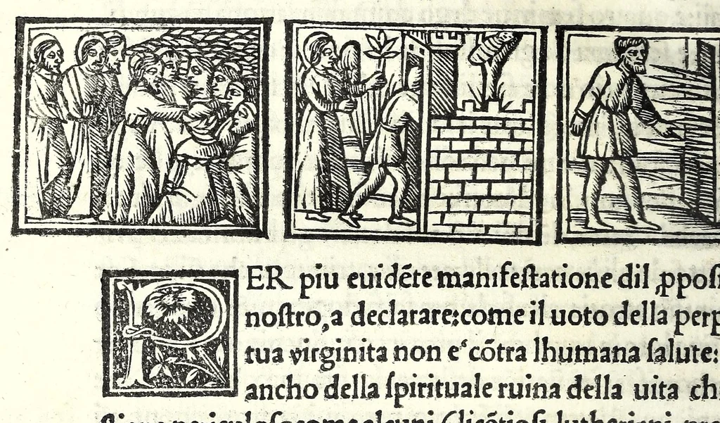 An illustration from Libro de uita contemplatiua, lectione, meditatione, oratione, contemplatione, scala dil paradiso intitulato : cum adaptatione mistica dellhistorie diuine & expositione de suoi misterii et excellentissimi sacramenti, 1527, leaf 240