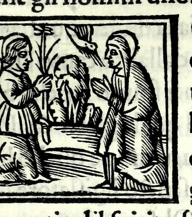 An illustration from Libro de uita contemplatiua, lectione, meditatione, oratione, contemplatione, scala dil paradiso intitulato : cum adaptatione mistica dellhistorie diuine & expositione de suoi misterii et excellentissimi sacramenti, 1527, leaf 97