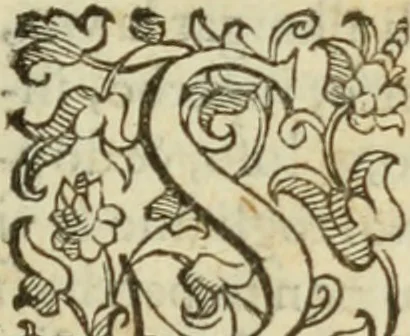 An illustration from Libro di Marco Avrelio con l'horologio de principi. Destinto in IIII volvmi .., 1584, leaf 12