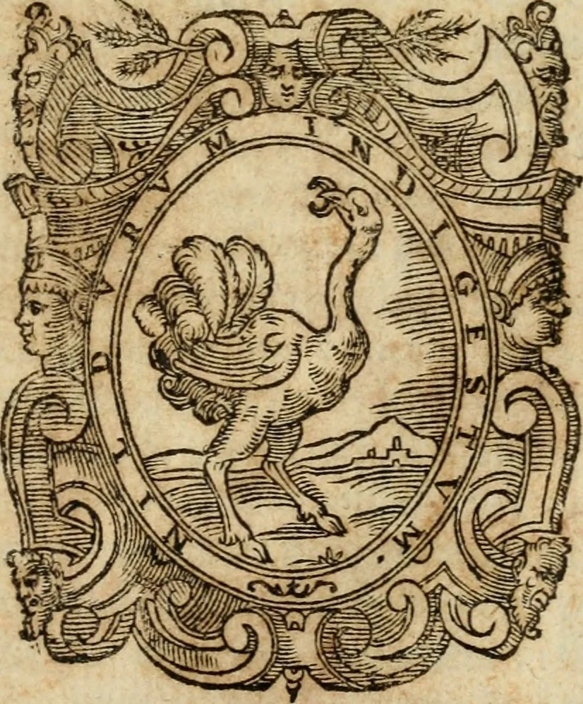 An illustration from Libro di Marco Avrelio con l'horologio de principi. Destinto in IIII volvmi .., 1584, leaf 222
