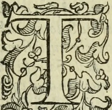 An illustration from Libro di Marco Avrelio con l'horologio de principi. Destinto in IIII volvmi .., 1584, leaf 230