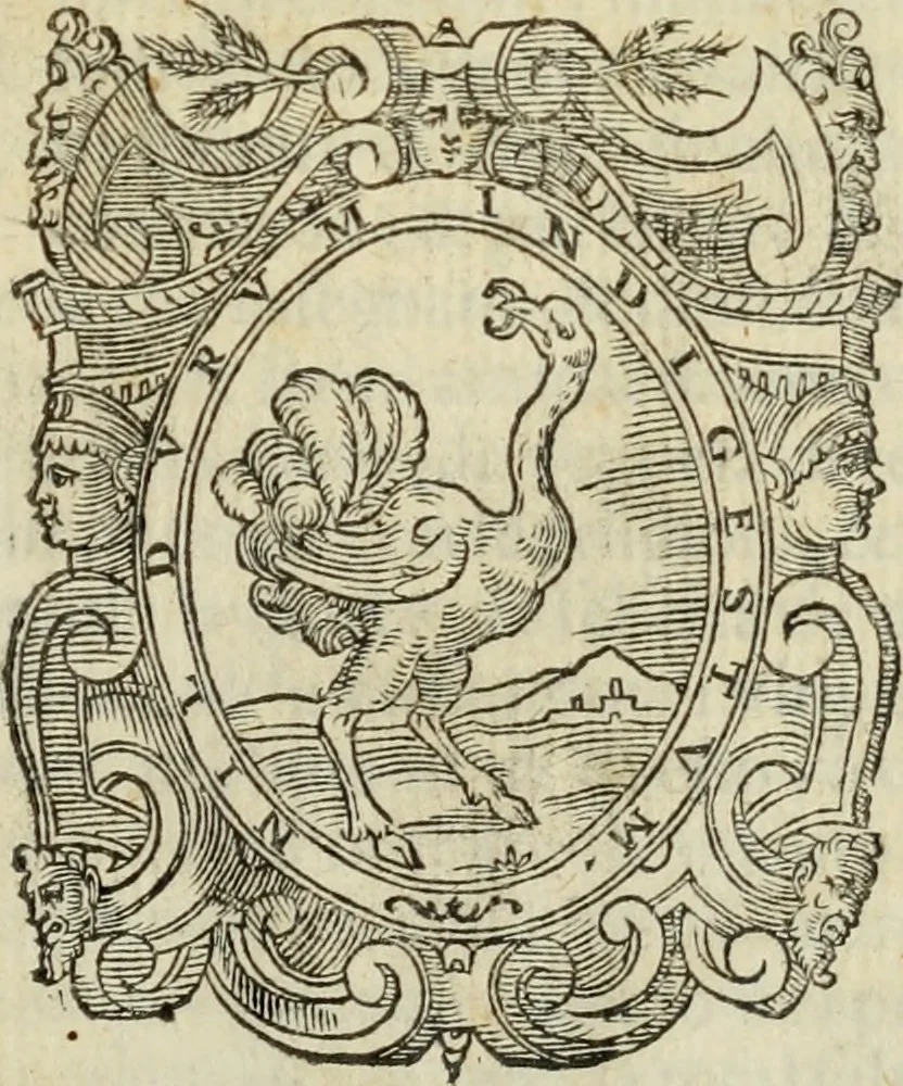 An illustration from Libro di Marco Avrelio con l'horologio de principi. Destinto in IIII volvmi .., 1584, leaf 4