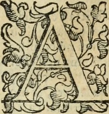 An illustration from Libro di Marco Avrelio con l'horologio de principi. Destinto in IIII volvmi .., 1584, leaf 648