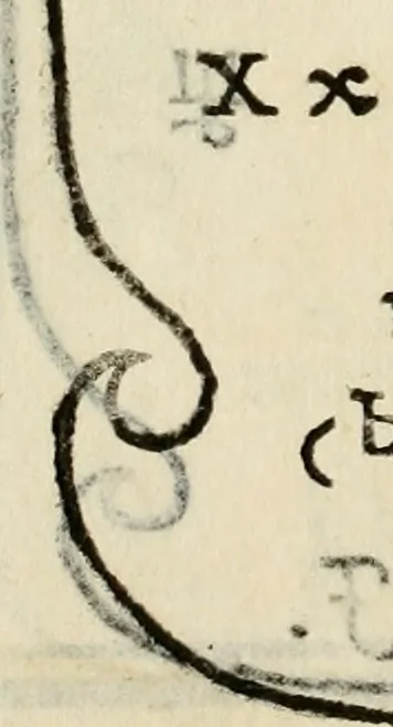 An illustration from Libro di M. Giovambattista Palatino cittadino romano : nelqual s'insegna à scriuer ogni sorte lettera, antica & moderna, di qualun que natione, con le sue regole, & misure, & essempi : et con vn breve et vtil discorso de le cifre, 1550, leaf 113
