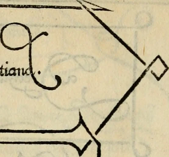 An illustration from Libro di M. Giovambattista Palatino cittadino romano : nelqual s'insegna à scriuer ogni sorte lettera, antica & moderna, di qualun que natione, con le sue regole, & misure, & essempi : et con vn breve et vtil discorso de le cifre, 1550, leaf 41