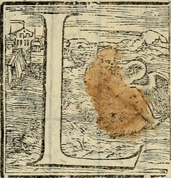 An illustration from Libro di M. Giovambattista Palatino cittadino romano : nelqual s'insegna à scriuer ogni sorte lettera, antica & moderna, di qualun que natione, con le sue regole, & misure, & essempi : et con vn breve et vtil discorso de le cifre, 1550, leaf 91