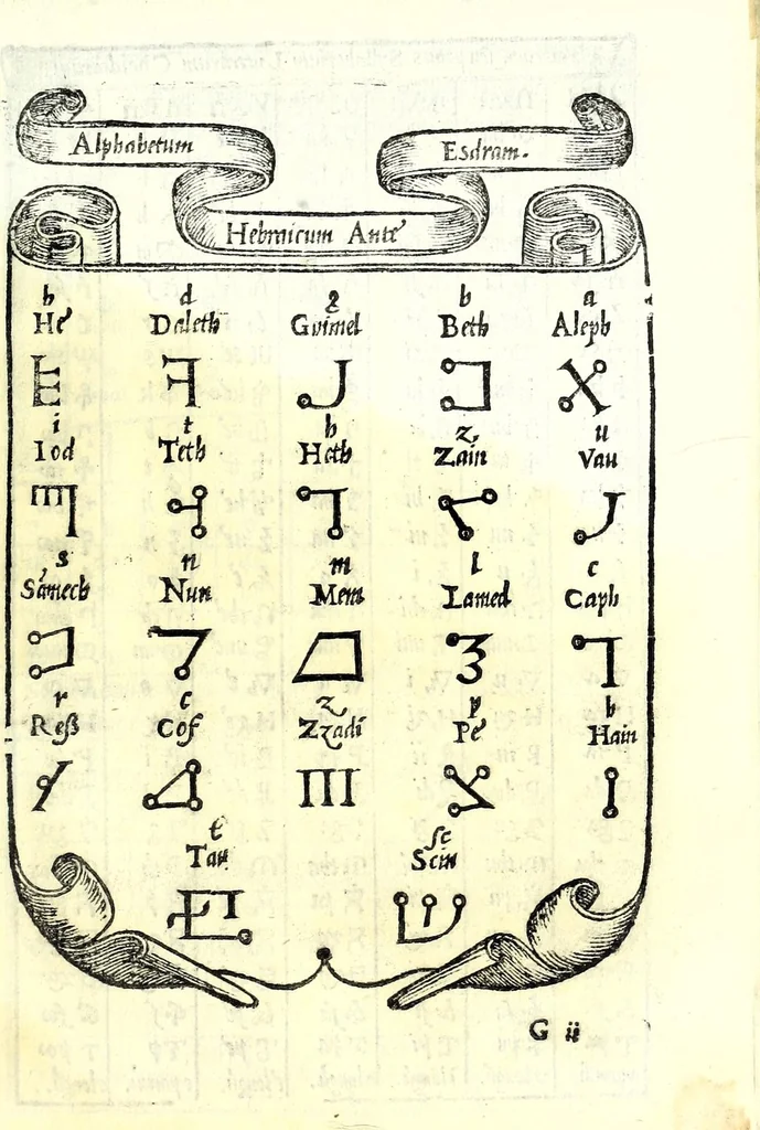 An illustration from Libro di M. Giovam Battista Palatino, cittadino romano, nelqual s'insegna à scriuer ogni sorte lettera, antica & moderna, di qualunque natione, con le sue regole & misure, & essempi : et con vn breve et vtil discorso de le cifre : riueduto nuouamente & corretto dal proprio autore, con la givnta di qvindici tavole bellissime, 1561, leaf 103