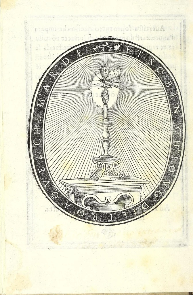 An illustration from Libro di M. Giovam Battista Palatino, cittadino romano, nelqual s'insegna à scriuer ogni sorte lettera, antica & moderna, di qualunque natione, con le sue regole & misure, & essempi : et con vn breve et vtil discorso de le cifre : riueduto nuouamente & corretto dal proprio autore, con la givnta di qvindici tavole bellissime, 1561, leaf 130