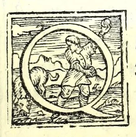 An illustration from Libro di M. Giovam Battista Palatino, cittadino romano, nelqual s'insegna à scriuer ogni sorte lettera, antica & moderna, di qualunque natione, con le sue regole & misure, & essempi : et con vn breve et vtil discorso de le cifre : riueduto nuouamente & corretto dal proprio autore, con la givnta di qvindici tavole bellissime, 1561, leaf 9