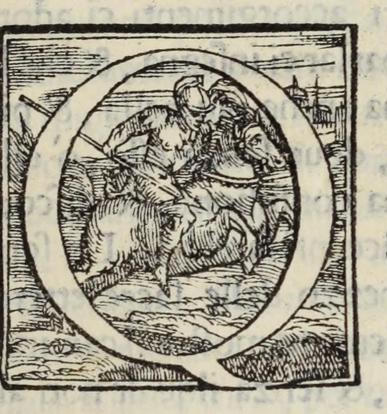 An illustration from Libro di M. Giovanbattista Palatino cittadino romano : nel qual s'insegna à scriuere ogni sorte lettera, antica, et moderna, di qualunque natione, con le sue regole, et misure, et essempi : et con vn breve, et vtil discorso de le cifre, 1548, leaf 15