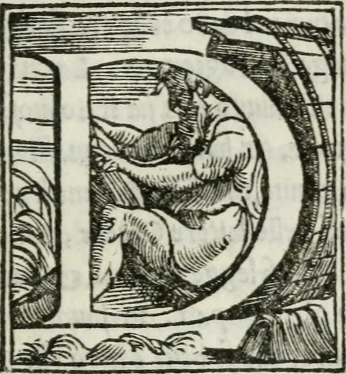An illustration from Libro di m. Pyrrho Ligori napolitano, delle antichità di Roma, nel qvale si tratta de' circi, theatri, & anfitheatri, 1553, leaf 10