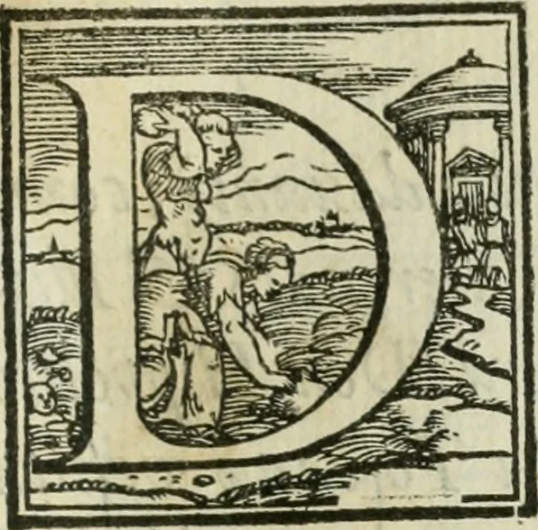 An illustration from Libro estraordinario di Sebastiano Serlio bolognese : nel quale si dimostrano trenta porte di opera rustica, mista con diuersi ordini, & uenti di opera dilicata di diuerse specie : con la scrittura dauanti, che narra il tutto, 1566, leaf 4
