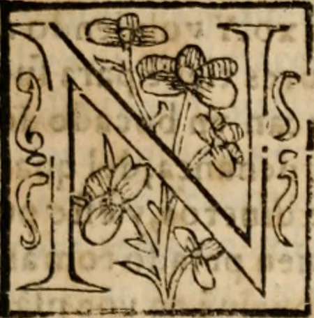 An illustration from Libro general delas reduciones de plata, y oro de diferentes leyes y pesos ... con otras reglas. y auisos muy necessarios para estos reynos del Piru .., 1597, leaf 12