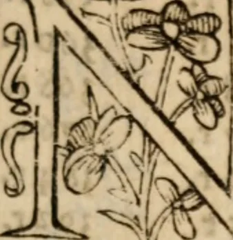 An illustration from Libro general delas reduciones de plata, y oro de diferentes leyes y pesos ... con otras reglas. y auisos muy necessarios para estos reynos del Piru .., 1597, leaf 314