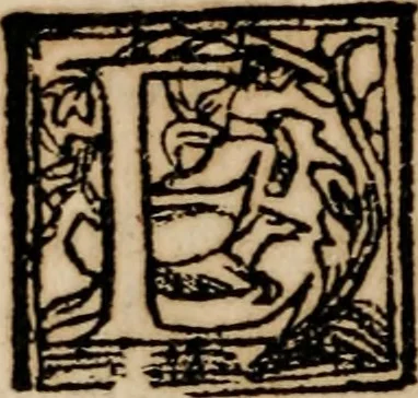 An illustration from Libro general delas reduciones de plata, y oro de diferentes leyes y pesos ... con otras reglas. y auisos muy necessarios para estos reynos del Piru .., 1597, leaf 319