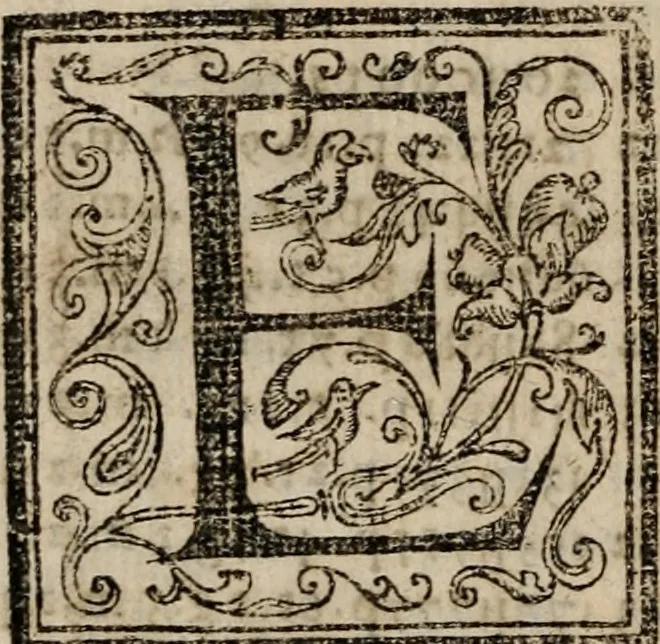 An illustration from Libro general delas reduciones de plata, y oro de diferentes leyes y pesos ... con otras reglas. y auisos muy necessarios para estos reynos del Piru .., 1597, leaf 351
