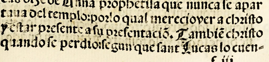 An illustration from Libro llamado Thesoro de virtudes muy vtil & copioso., 1543, leaf 133