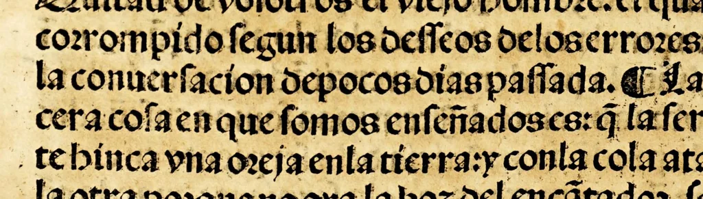 An illustration from Libro llamado Thesoro de virtudes muy vtil & copioso., 1543, leaf 200