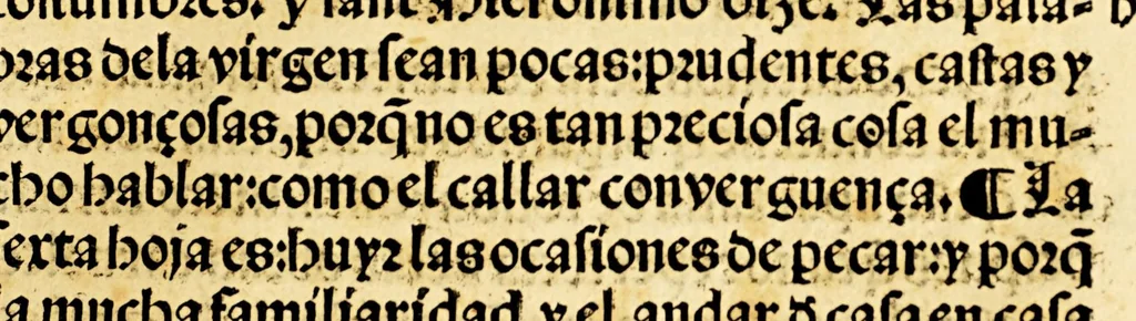 An illustration from Libro llamado Thesoro de virtudes muy vtil & copioso., 1543, leaf 233
