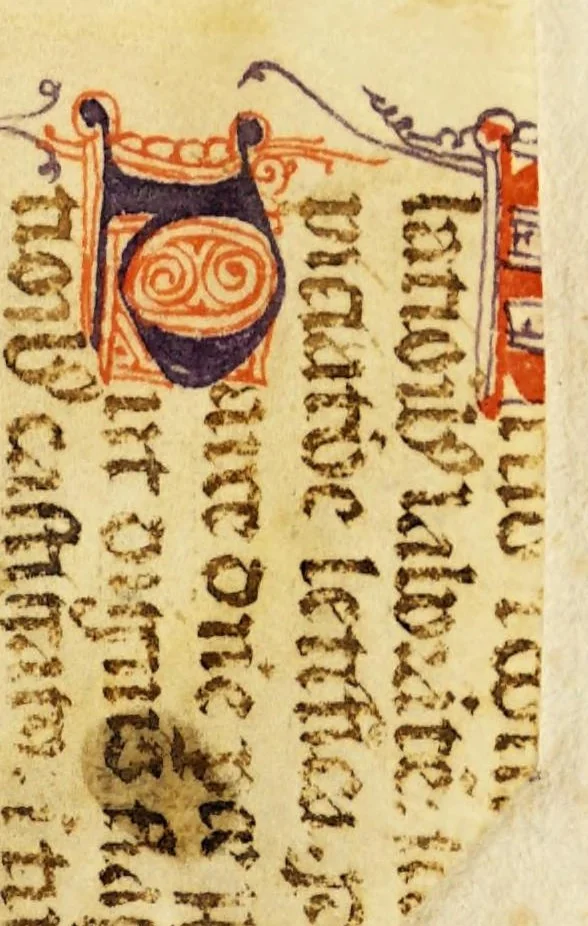 An illustration from Libro llamado Thesoro de virtudes muy vtil & copioso., 1543, leaf 3