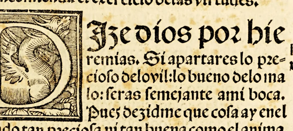 An illustration from Libro llamado Thesoro de virtudes muy vtil & copioso., 1543, leaf 49