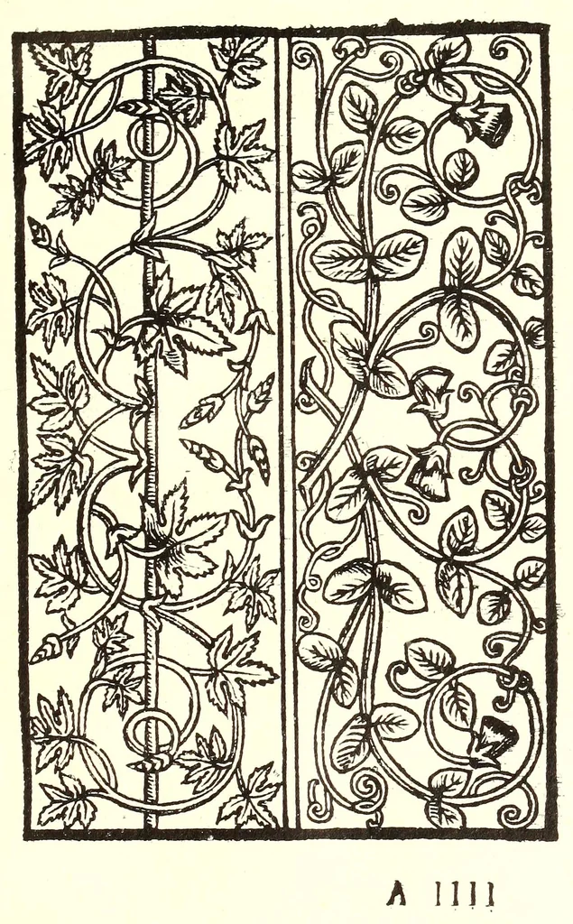 An illustration from Libro primo de rechami p elquale se impara in diuersi modi l'ordine e il modo de recamare : cosa nō mai piu fatta ne stata mostrata : el qual modo se insegna al lettore voltando la carta, 1878, leaf 13