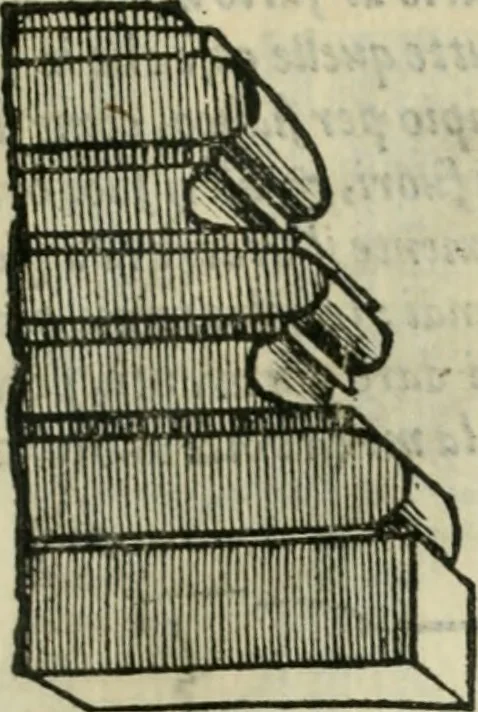 An illustration from Libro primo [-quinto] d'architettvra ..., 1566, leaf 108