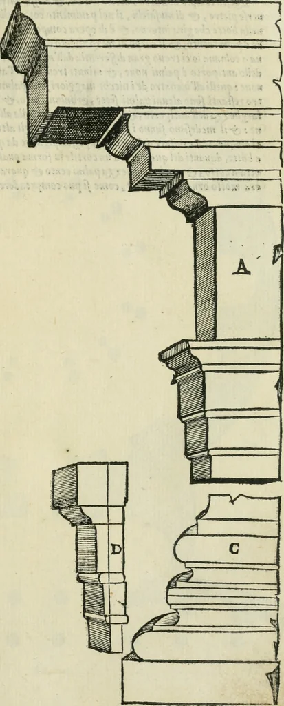 An illustration from Libro primo [-quinto] d'architettvra ..., 1566, leaf 114