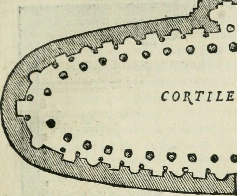 An illustration from Libro primo [-quinto] d'architettvra ..., 1566, leaf 118