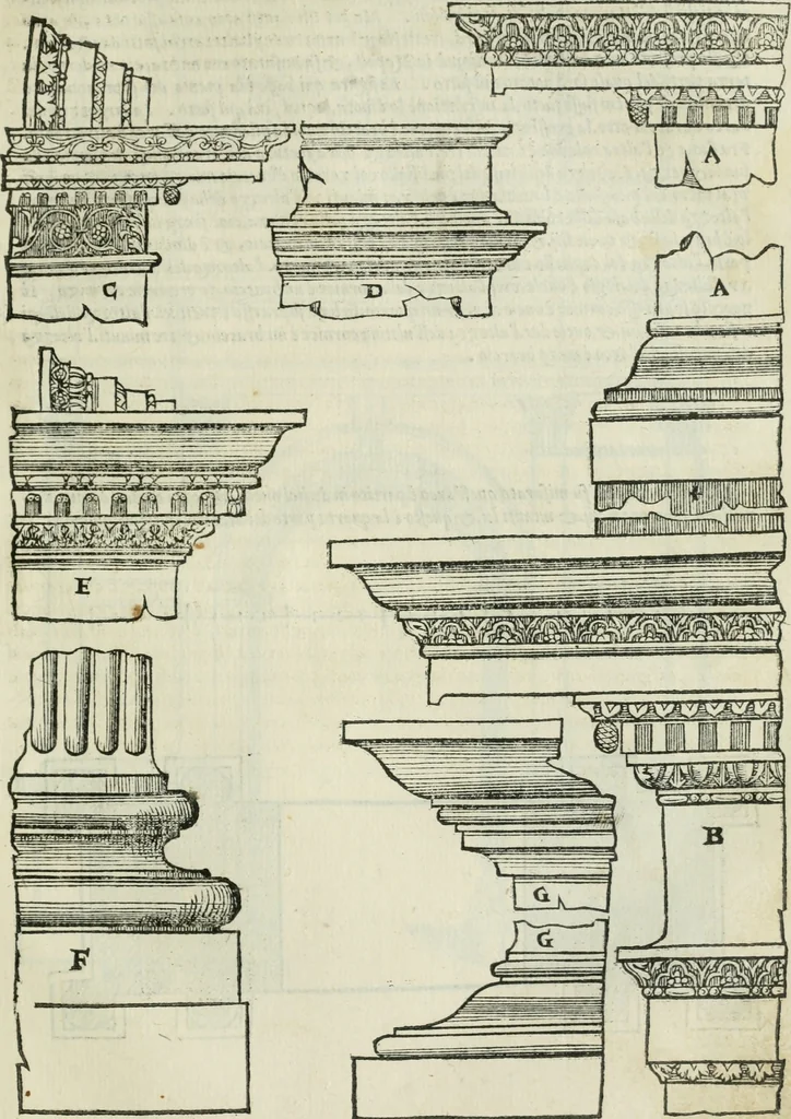 An illustration from Libro primo [-quinto] d'architettvra ..., 1566, leaf 208