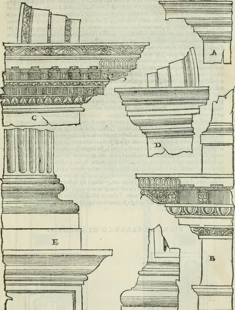 An illustration from Libro primo [-quinto] d'architettvra ..., 1566, leaf 216