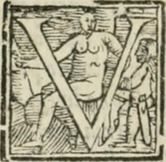 An illustration from Libro primo [-quinto] d'architettvra ..., 1566, leaf 249