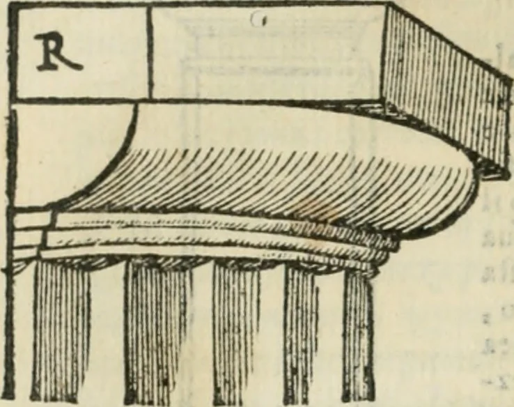 An illustration from Libro primo [-quinto] d'architettvra ..., 1566, leaf 285