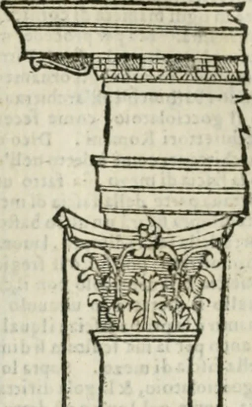An illustration from Libro primo [-quinto] d'architettvra ..., 1566, leaf 343