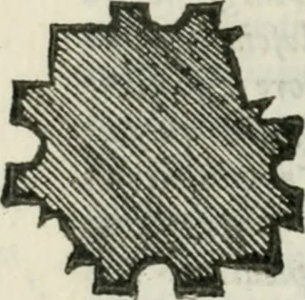 An illustration from Libro primo [-quinto] d'architettvra ..., 1566, leaf 435