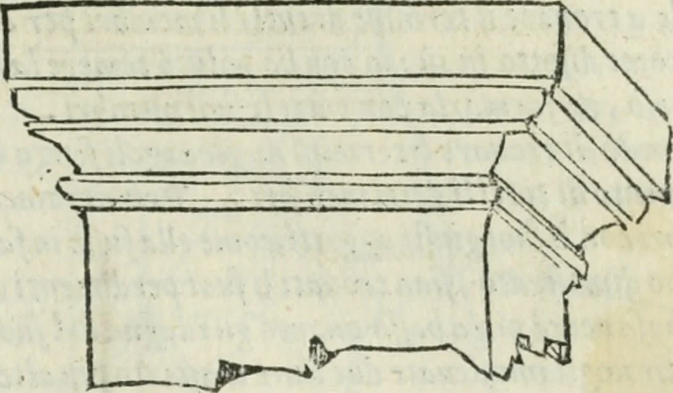 An illustration from Libro primo [-quinto] d'architettvra ..., 1566, leaf 56