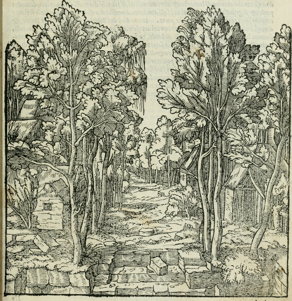 An illustration from Libro primo [-quinto] d'architettvra ..., 1566, leaf 96