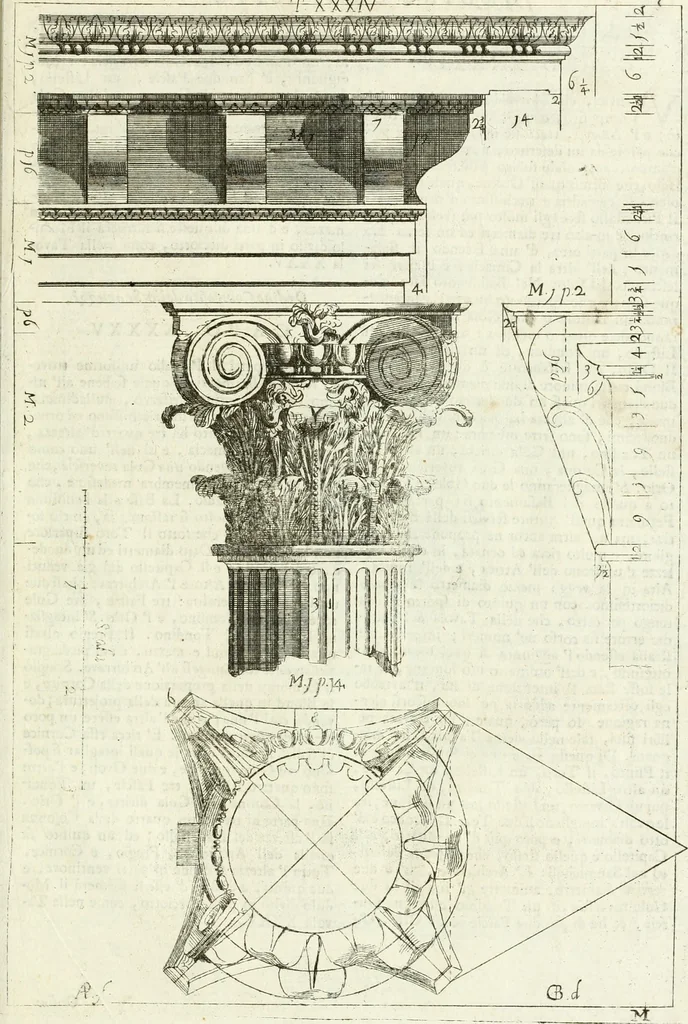 An illustration from Li cinque ordini dell' architettura civile di Michel Sanmicheli : rilevati dalle sue fabriche, e descritti e publicati con quelli di Vitruvio, Alberti, Palladio, Scamozzi, Serlio, e Vignola, 1735, leaf 110