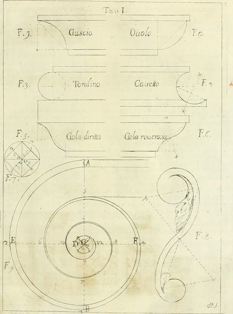 An illustration from Li cinque ordini dell' architettura civile di Michel Sanmicheli : rilevati dalle sue fabriche, e descritti e publicati con quelli di Vitruvio, Alberti, Palladio, Scamozzi, Serlio, e Vignola, 1735, leaf 24