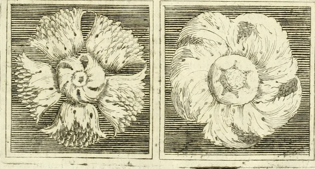 An illustration from Li cinque ordini dell' architettura civile di Michel Sanmicheli : rilevati dalle sue fabriche, e descritti e publicati con quelli di Vitruvio, Alberti, Palladio, Scamozzi, Serlio, e Vignola, 1735, leaf 40