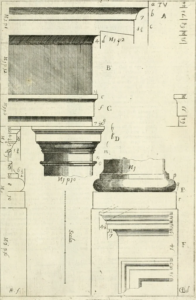 An illustration from Li cinque ordini dell' architettura civile di Michel Sanmicheli : rilevati dalle sue fabriche, e descritti e publicati con quelli di Vitruvio, Alberti, Palladio, Scamozzi, Serlio, e Vignola, 1735, leaf 52