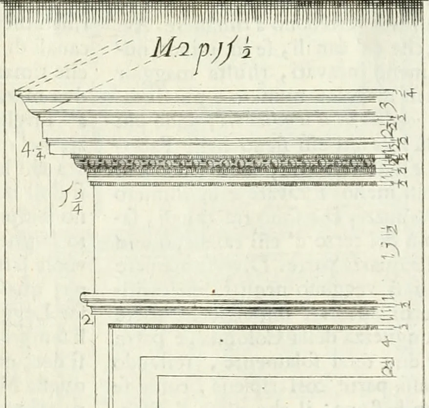 An illustration from Li cinque ordini dell' architettura civile di Michel Sanmicheli : rilevati dalle sue fabriche, e descritti e publicati con quelli di Vitruvio, Alberti, Palladio, Scamozzi, Serlio, e Vignola, 1735, leaf 64
