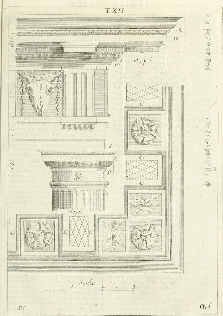 An illustration from Li cinque ordini dell' architettura civile di Michel Sanmicheli : rilevati dalle sue fabriche, e descritti e publicati con quelli di Vitruvio, Alberti, Palladio, Scamozzi, Serlio, e Vignola, 1735, leaf 66
